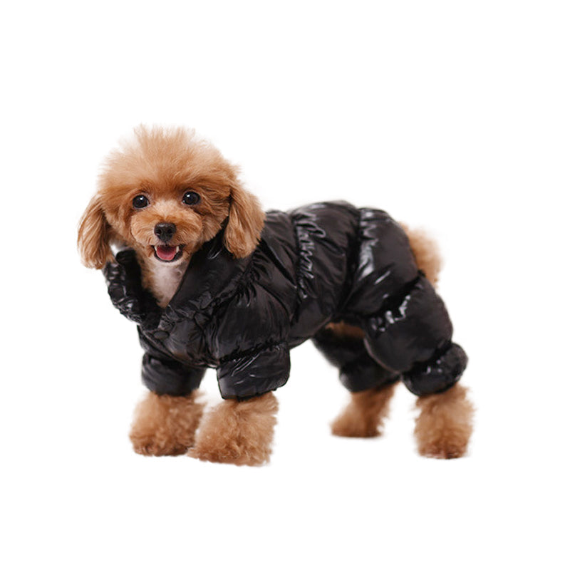Stylish 4-color Sports Jacket for Dogs with Functional Pockets and Zipper