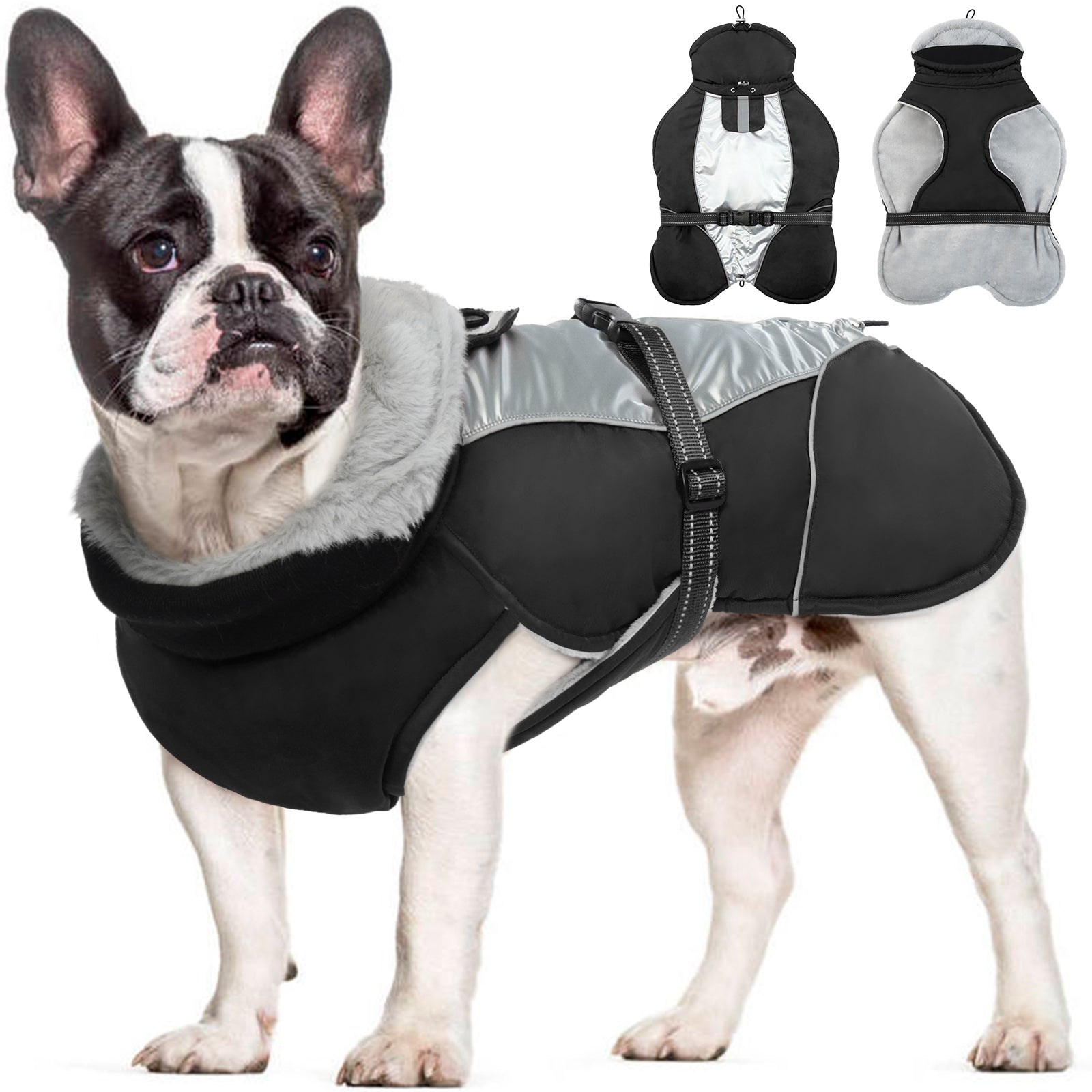 Black dog jackets winter w522# main image 1