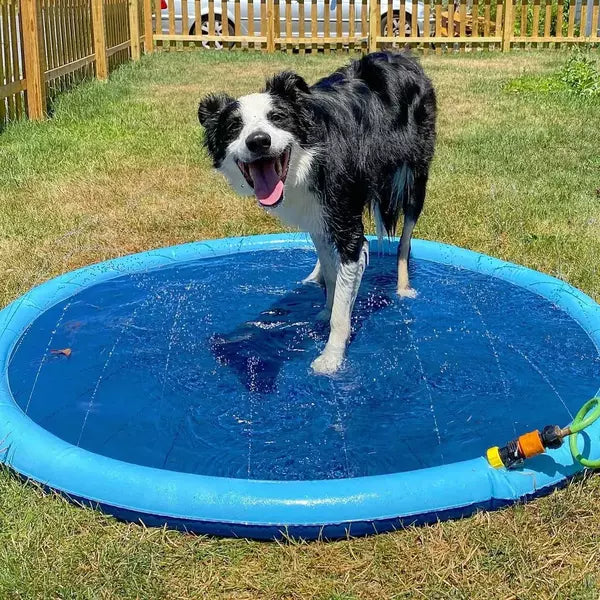 Pawbibi™ - Refreshing Dog Sprinkler Pad