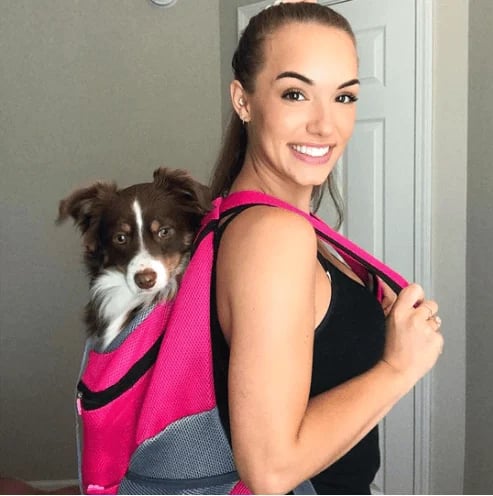 🔥2024 Updated Summer Dog Backpack🐶