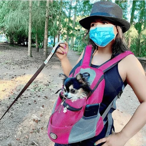 🔥2024 Updated Summer Dog Backpack🐶