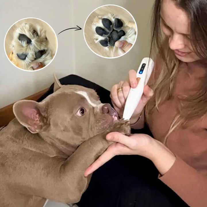 3-in-1 Pet Hair Trimmer for Dogs – Buy 1 Get 1 Free Limited Time