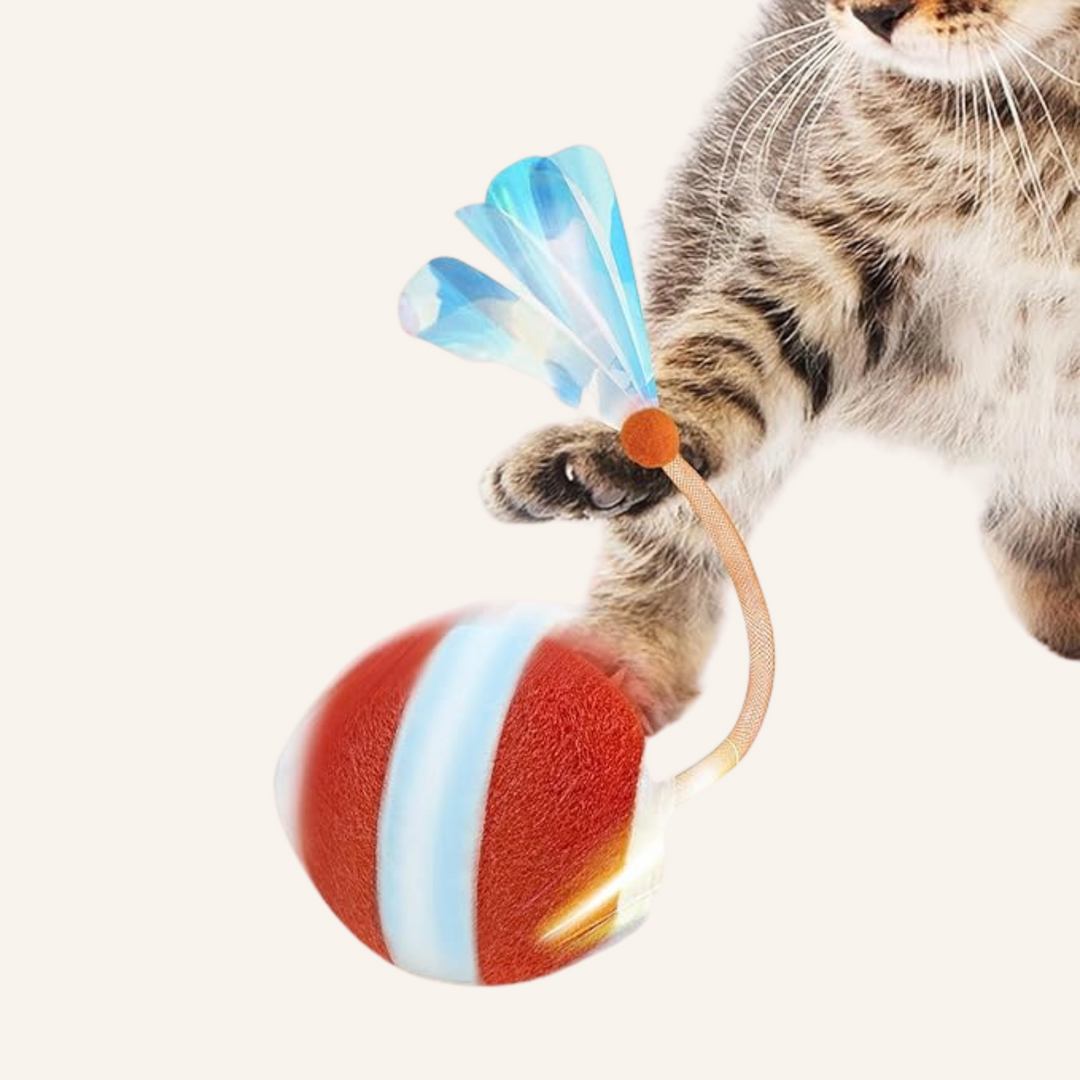 Interactive Electric Dog Toy Ball | USB Rechargeable Smart Chase Ball for Puppies &amp; Adult Dogs