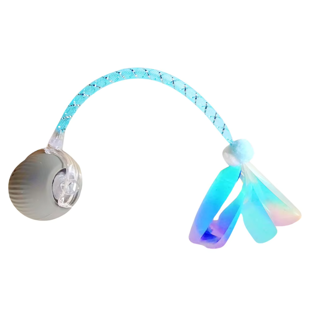 Interactive Electric Dog Toy Ball | USB Rechargeable Smart Chase Ball for Puppies &amp; Adult Dogs