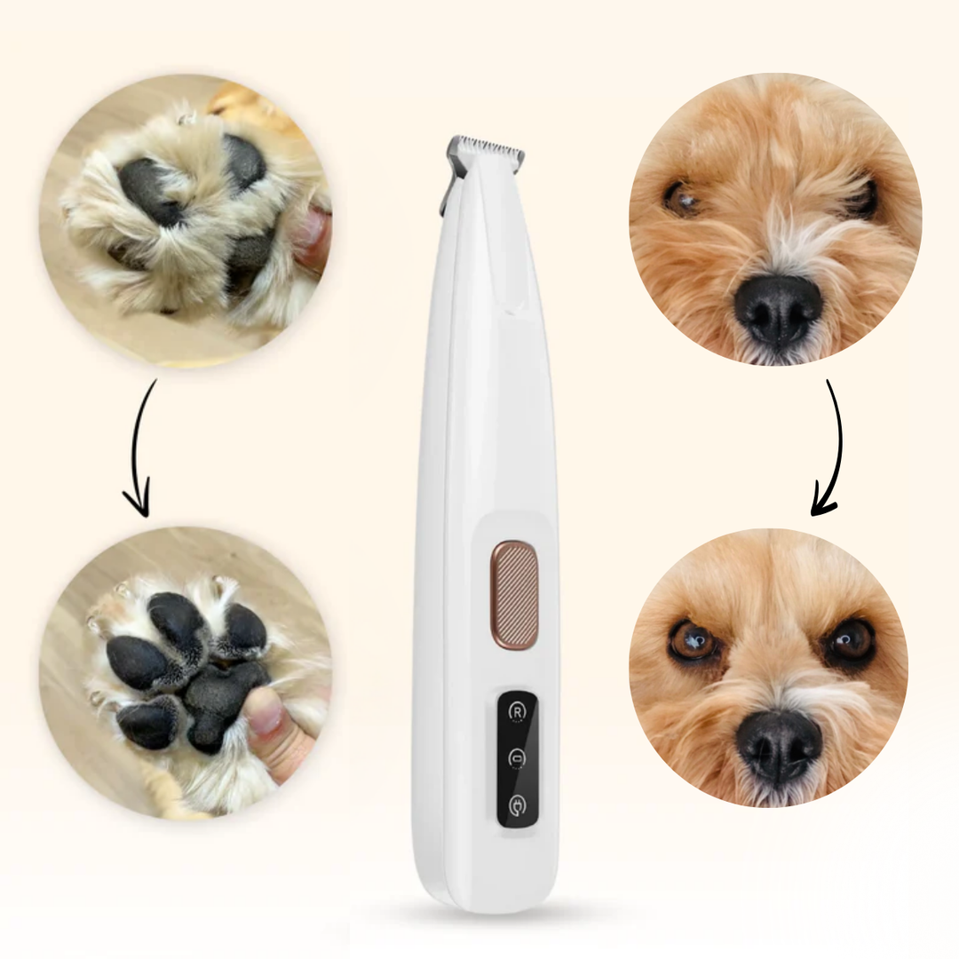 3-in-1 Pet Hair Trimmer for Dogs – Buy 1 Get 1 Free Limited Time