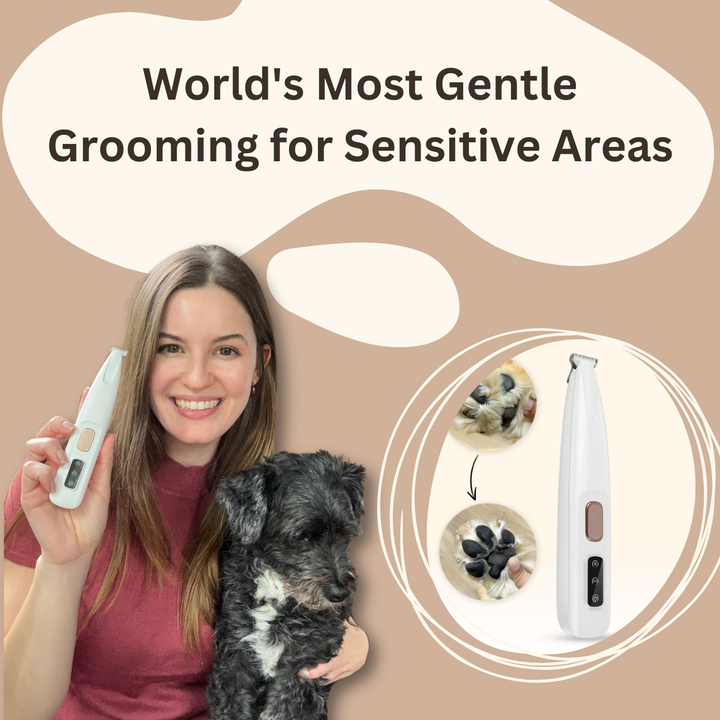 3-in-1 Pet Hair Trimmer for Dogs – Buy 1 Get 1 Free Limited Time