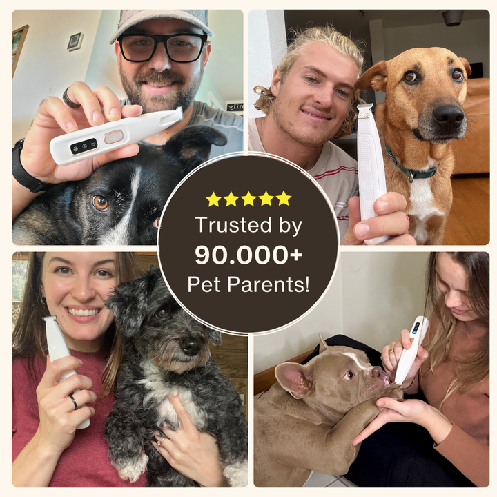 3-in-1 Pet Hair Trimmer for Dogs – Buy 1 Get 1 Free Limited Time