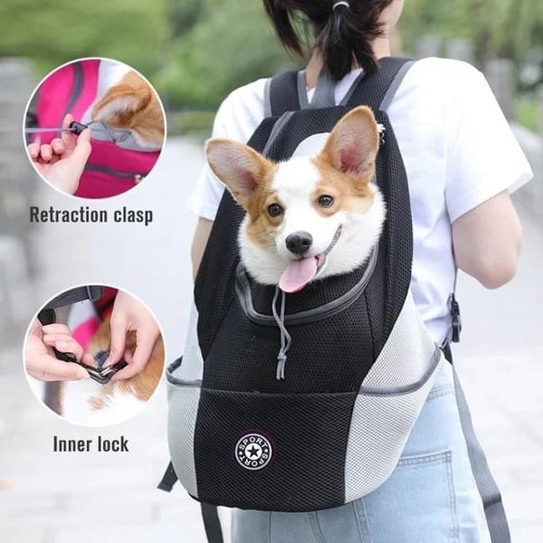 🔥2024 Updated Summer Dog Backpack🐶