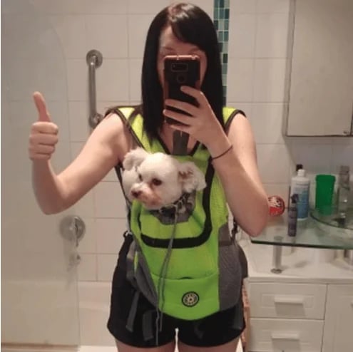 🔥2024 Updated Summer Dog Backpack🐶