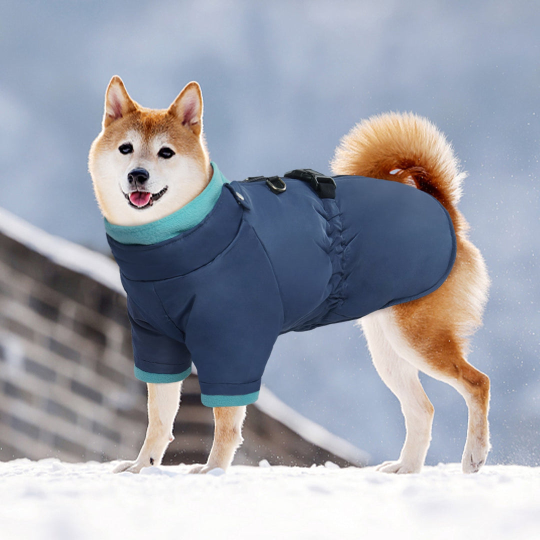 Windproof Dog Cold Weather Coat with Zipper