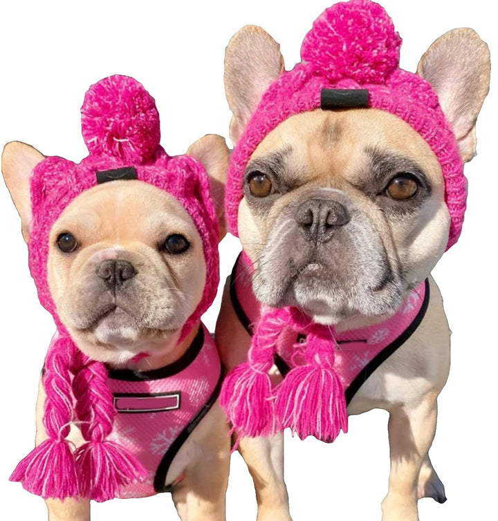 Adorable Dog Beanie-Buy 2pcs Get Free shipping