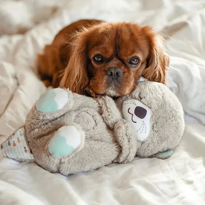 Pawbibi Calming Otter Plush