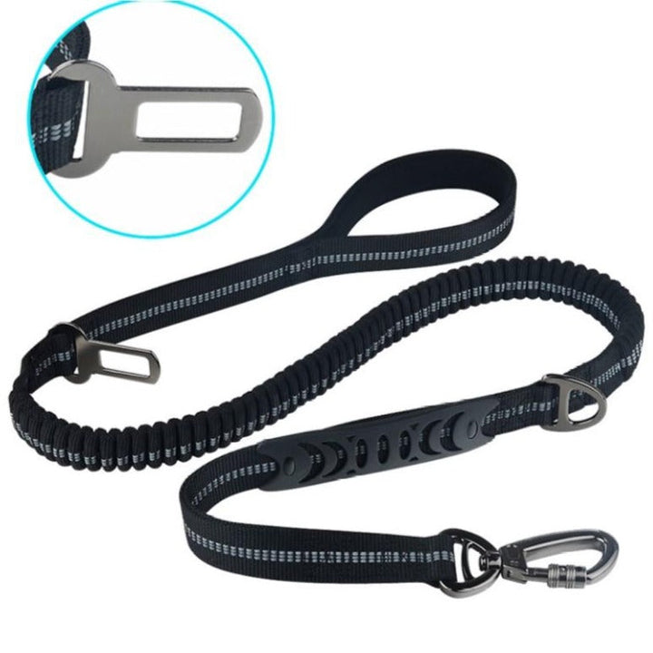 Pawbibi All In One Dog Safety Lead