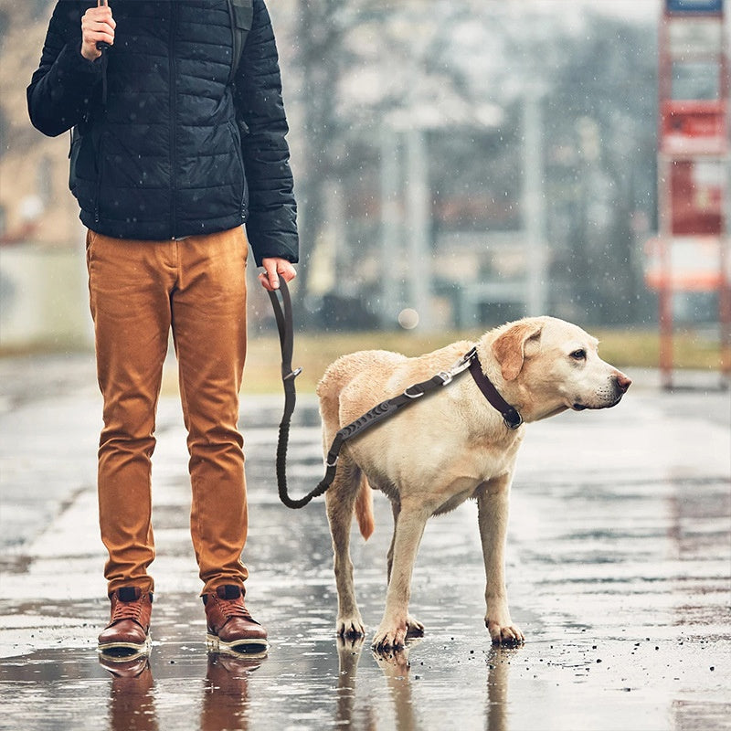 Pawbibi All In One Dog Safety Lead