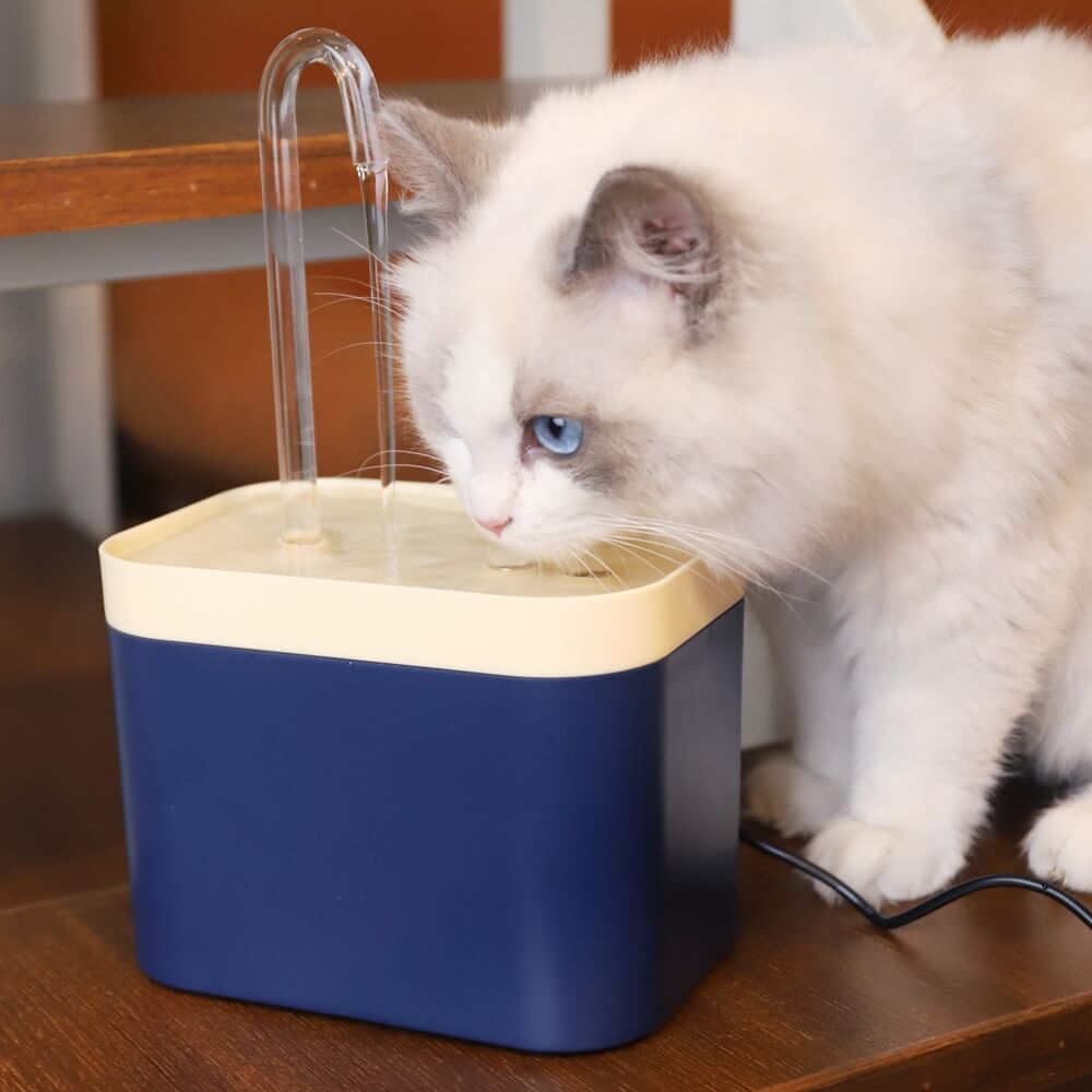 Pawbibi™ Water Fountain