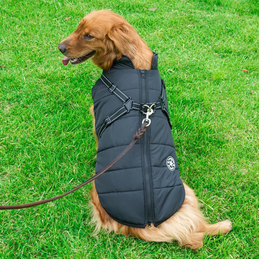 Pawbibi Sport™ - Waterproof Winter Jacket with Built-in Harness - Buy 2 Pcs Enjoy Free Shipping!