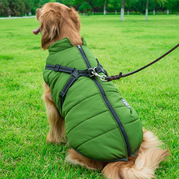 Pawbibi Sport™ - Waterproof Winter Jacket with Built-in Harness - Buy 2 Pcs Enjoy Free Shipping!