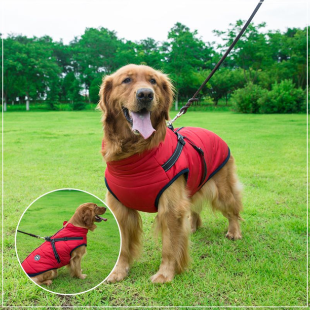 Pawbibi Sport Waterproof Winter Jacket with Built in Harness