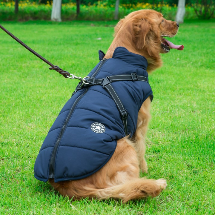 Pawbibi Sport™ - Waterproof Winter Jacket with Built-in Harness - Buy 2 Pcs Enjoy Free Shipping!