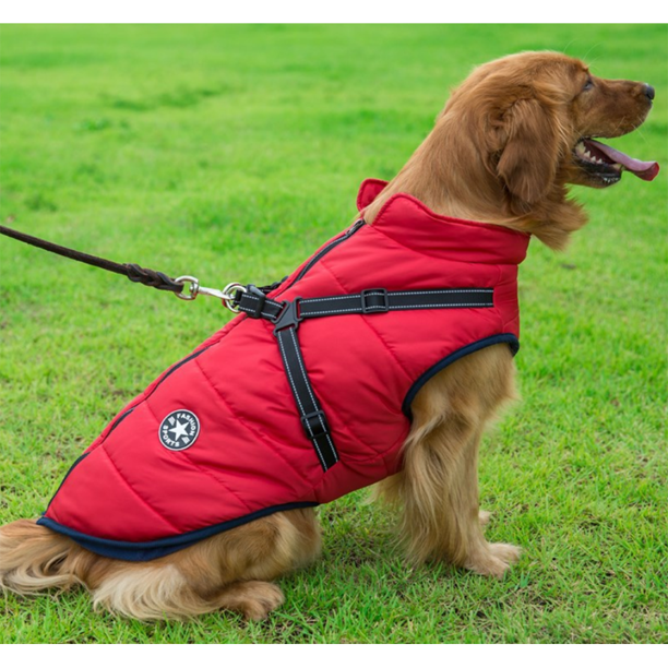 Pawbibi Sport™ - Waterproof Winter Jacket with Built-in Harness - Buy 2 Pcs Enjoy Free Shipping!