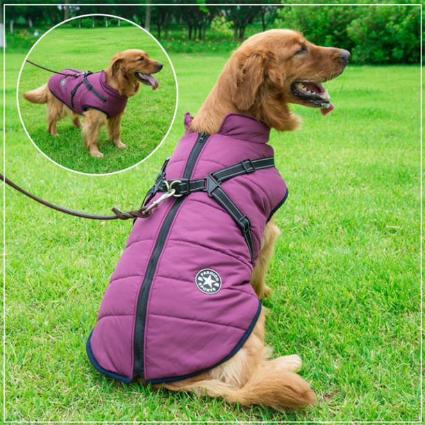 Pawbibi Sport™ - Waterproof Winter Jacket with Built-in Harness