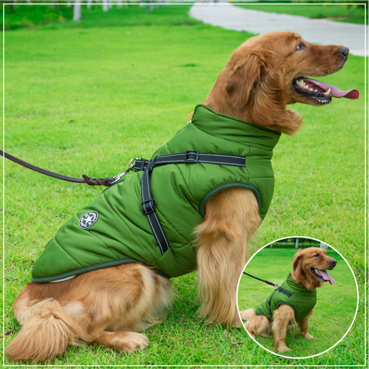 Pawbibi Sport™ - Waterproof Winter Jacket with Built-in Harness - Buy 2 Pcs Enjoy Free Shipping!