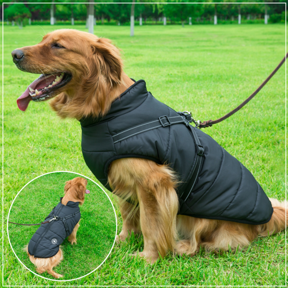 Pawbibi Sport™ - Waterproof Winter Jacket with Built-in Harness - Buy 2 Pcs Enjoy Free Shipping!